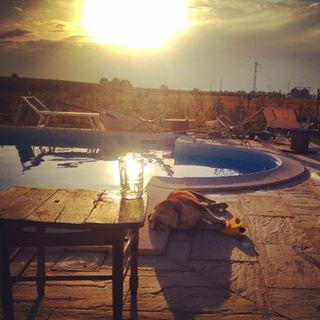 B&B Ai Prati Monestirolo Buitenkant foto